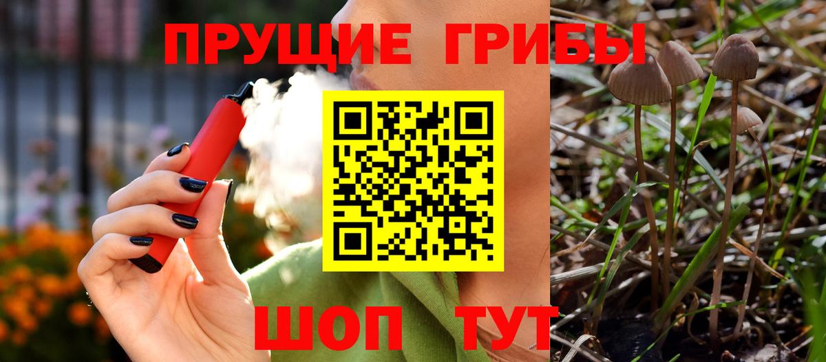Псилоцибиновые грибы MAGIC MUSHROOMS  Галлюциногенные грибы Cubensis  Вход с VPN  Димитровград 