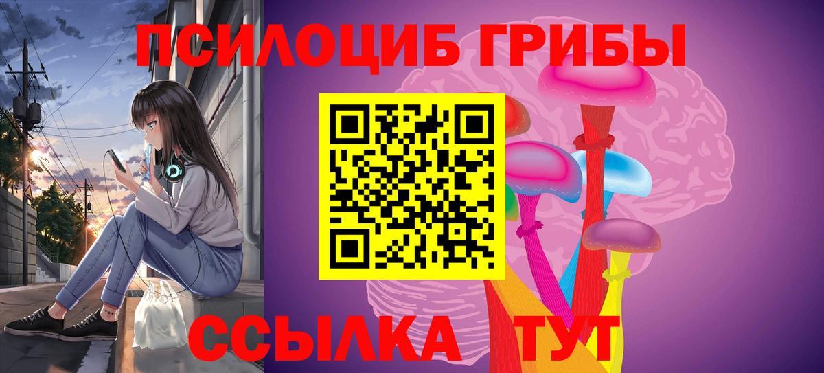 Псилоцибиновые грибы мицелий Димитровград